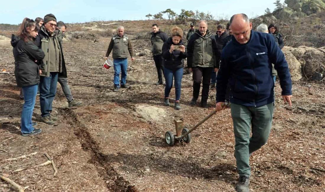 Eskişehir’de yangın alanında ağaçlandırma başladı Seyitgazi’de geçen yıl çıkan orman yangınında zarar gören alanlarda ağaçlandırma