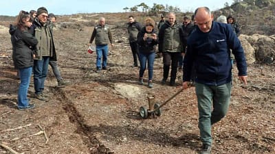 Seyitgazi’de geçen yıl çıkan orman yangınında zarar gören alanlarda ağaçlandırma