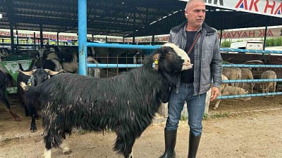 Kurban Bayramı arifesinde hareketliliğin zirve yaptığı Yıldırım ilçesindeki İsabey Kurban