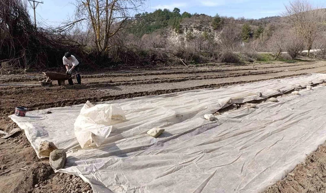 Selendi’de tütün üreticisinin yeni sezon mesaisi Manisa’nın Selendi ilçesinde tütün üreticileri 2026 sezonu için fide ocaklarını