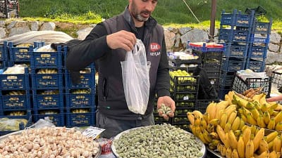 Datça’nın meşhur çağla bademi sezonun ilk ürünü olarak Yatağan Çarşamba