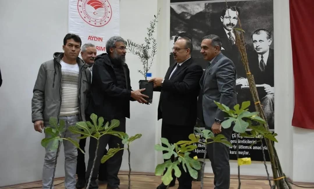 Aydın’da 74 bin fidan üreticilere dağıtıldı Aydın Valiliği ve İl Tarım Müdürlüğü iş birliğiyle yürütülen proje