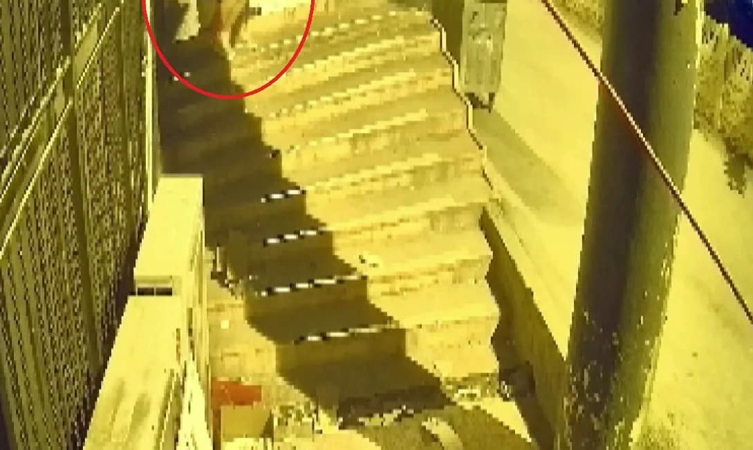 Böyle hırsızlık görülmedi: Dükkan sahibi şok oldu Bursa’da yaklaşık 10 gündür züccaciye dükkanına dadanan hırsız, peruk takıp