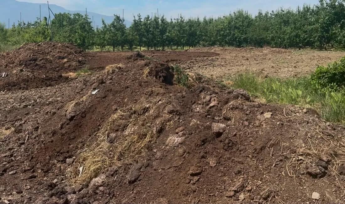 Organik gübre fiyatları geçen yıl ile aynı Küresel pazardaki hareketlilik nedeniyle kimyasal gübre ve yakıt maliyetlerinin yükselmesi,