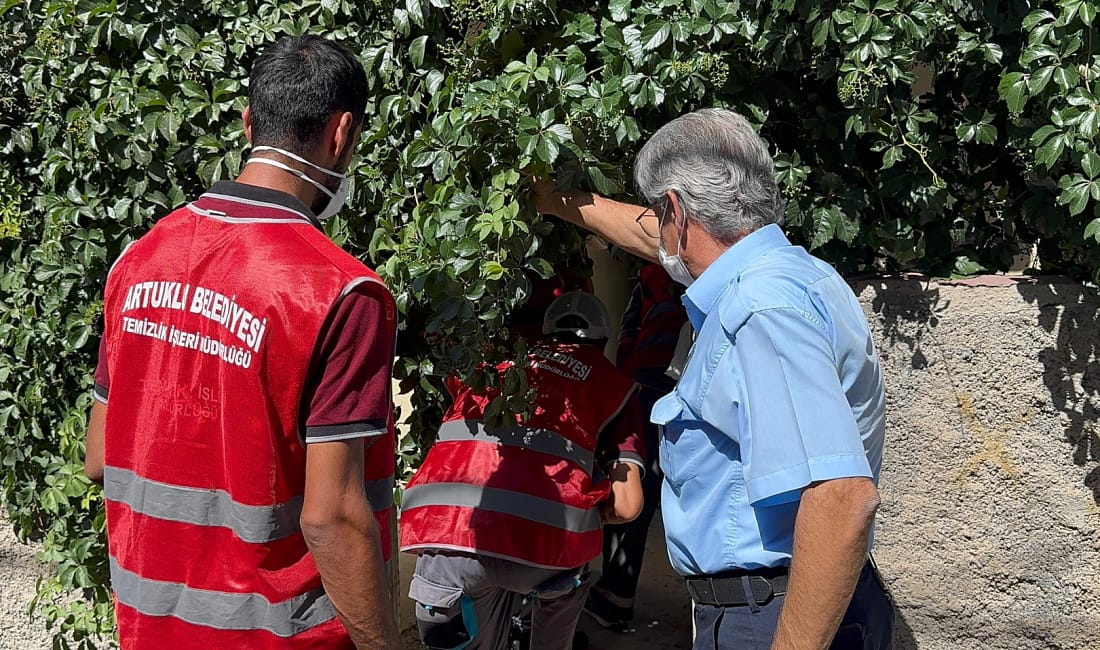 Artuklu’da “Çöp Ev” temizlendi, mahalle rahat nefes aldı Mardin’in Artuklu ilçesine bağlı Cumhuriyet Mahallesi 13. Sokak’ta bulunan ve