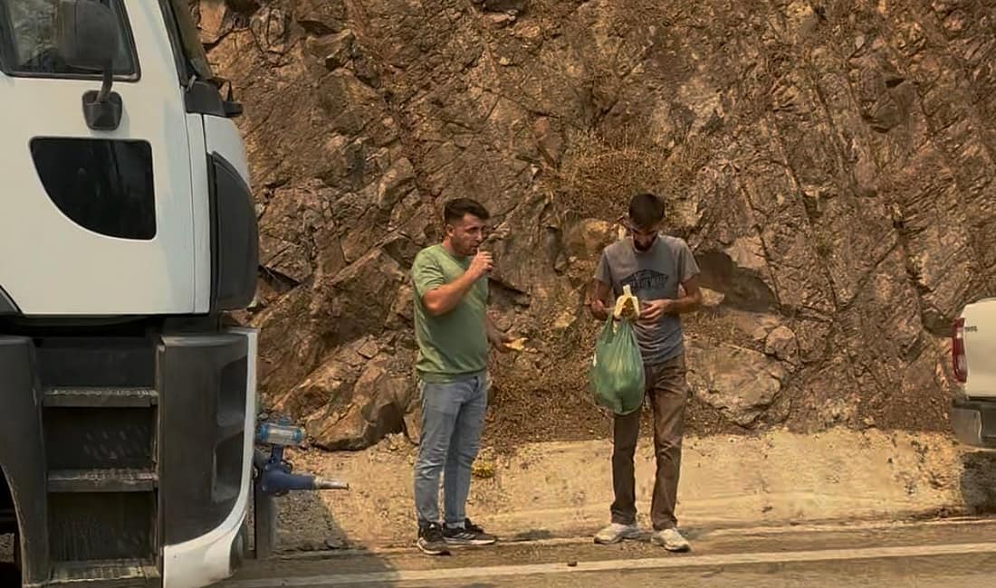 Gürsu’nun iki evladı yangında şehit düştü Gürsu’da yaşanan yangın faciasında çok sayıda gönüllü, alevlere karşı canları