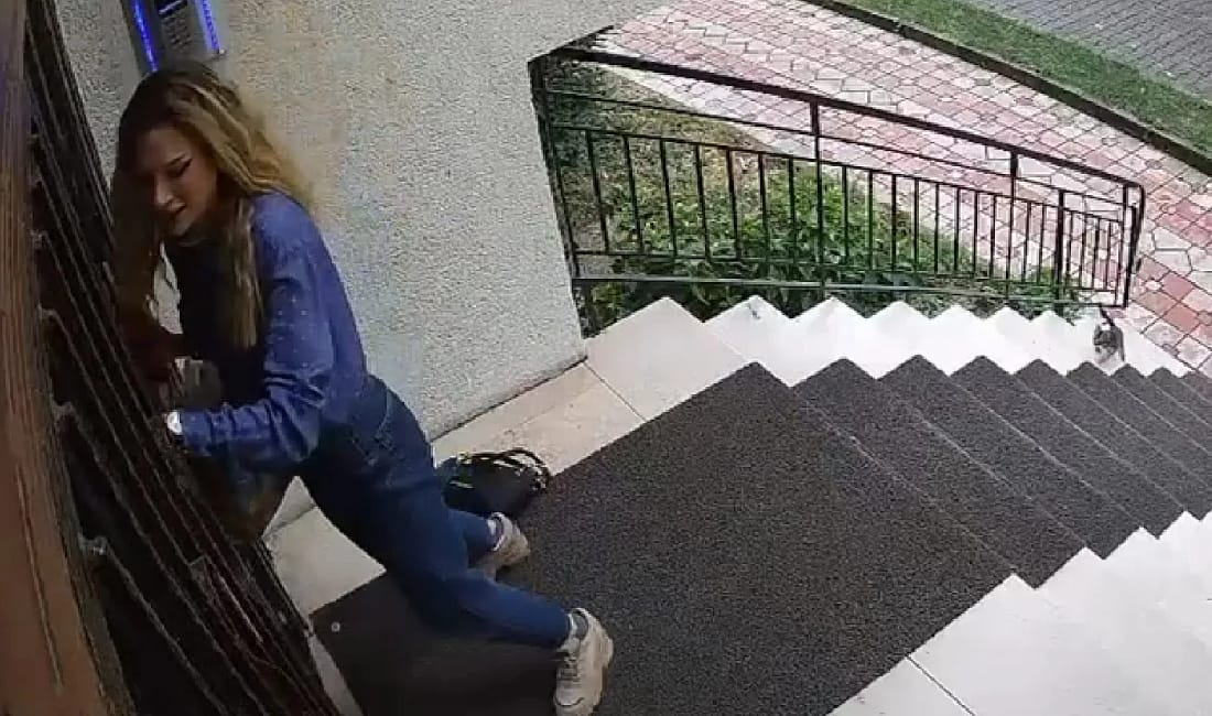 Habere giderken habere konu oldu: Kedilerle sabah kovalamacası Bursa’da sabah işe gitmek için evden çıkan gazeteci Yasemin D.,