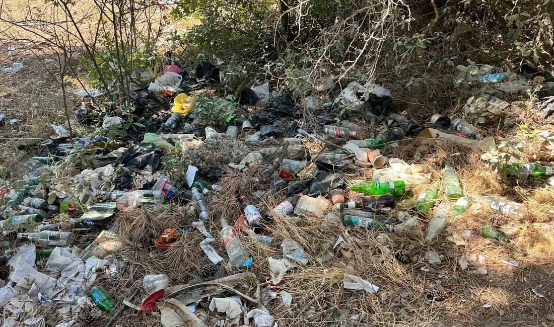 Bilecik’te ormanı çöplüğe çeviren alkol avcıları! Bilecik'te ormanlık alanda içki içenlerin attığı çöpler tepkilere yol açtı.