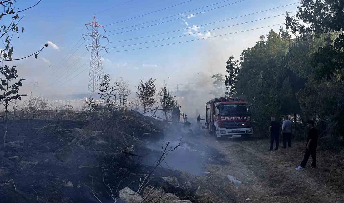 Esenyurt’ta E-5 kenarındaki otluk alanda yangın paniği İstanbul Esenyurt'ta E-5 Karayolu bitişiğindeki otluk alanda çıkan yangın, itfaiye