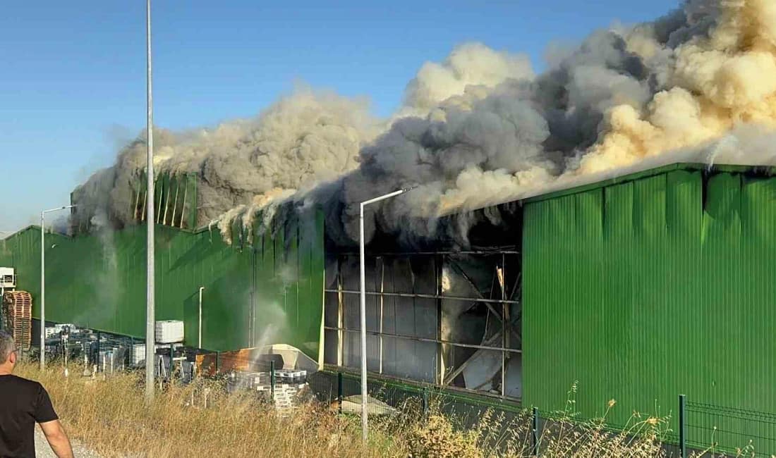 Teksüt fabrikası yangını soruşturmasında 1 kişi tutuklandı Balıkesir’in Gönen ilçesinde Teksüt fabrikasında 2 kişinin hayatını kaybettiği yangına