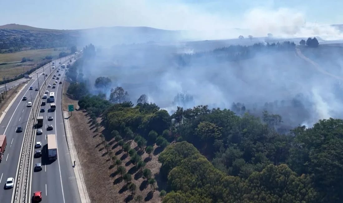 TEM Otoyolu kenarındaki ağaçlık alanda çıkan yangın söndürüldü İstanbul’da TEM Otoyolu kenarındaki ağaçlık alanda çıkan yangın itfaiye ekiplerince