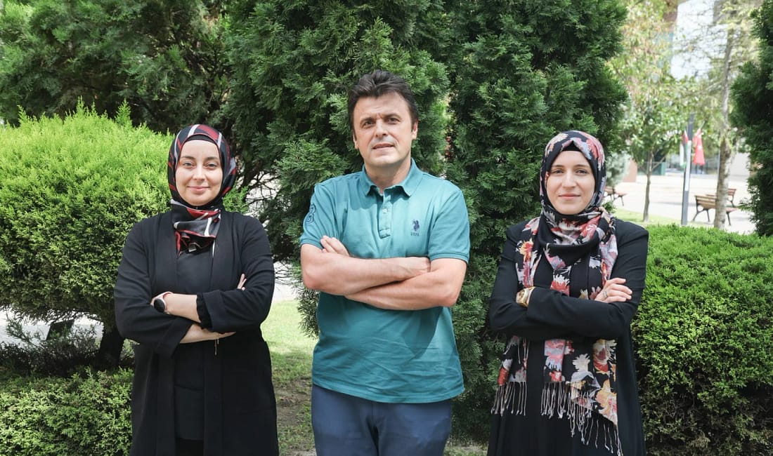 BTÜ’den dijital matematik hamlesi Bursa Teknik Üniversitesi (BTÜ), matematik eğitiminde dijital dönüşümü hedefleyen önemli