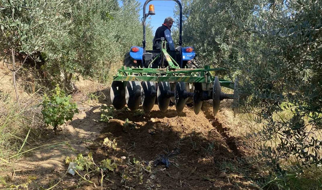 Alaşehir’de yağmur çiftçiye can suyu oldu Manisa’nın Alaşehir ilçesinde son günlerde etkili olan sakin yağışlar, zeytin