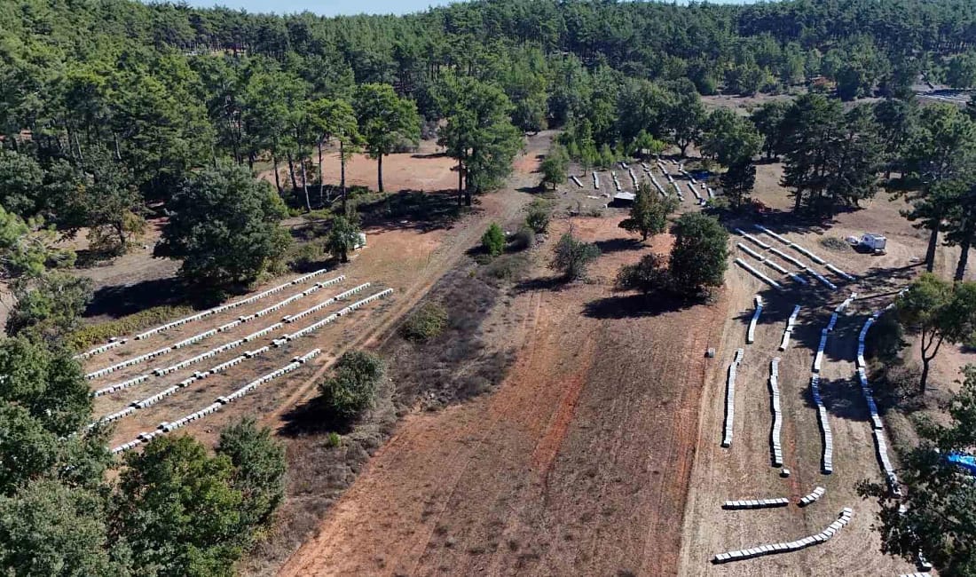 Muğla’da çam balı üretiminde rekor bekleniyor Bu yıl mevsim şartlarının elverişli gitmesiyle Muğla’da 20 bin ton