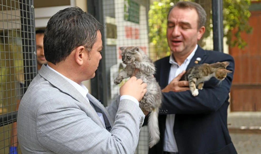 Osmangazi’de dev adım Osmangazi Belediyesi, 4 Ekim Dünya Hayvanları Koruma Günü kapsamında Sahipsiz
