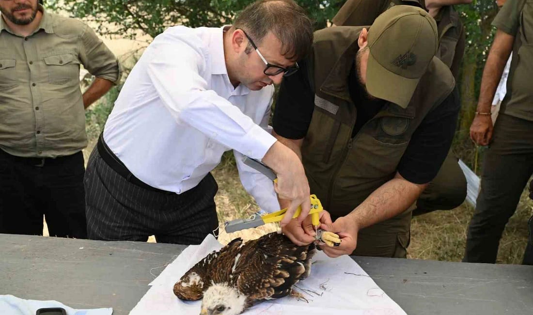 TREDAŞ’tan Dünya Hayvanları Koruma Günü’nde anlamlı projeler TREDAŞ, Dünya Hayvanları Koruma Günü’nde hem göçmen kuşları korumak hem