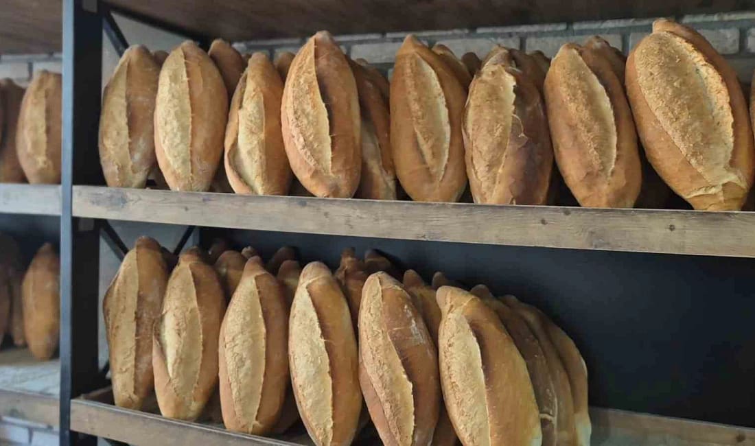 Samsun’da ekmek fiyatı 15 TL oldu Samsun’da 210 gram somun ekmek 12,5 TL’den 15 TL’ye yükseldi.