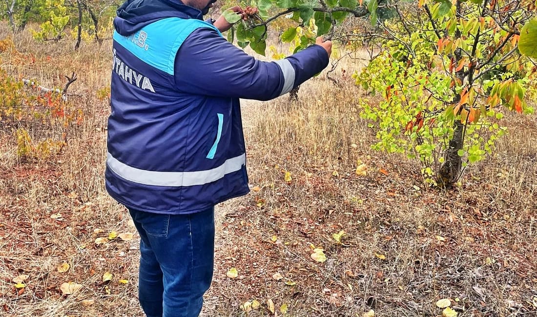 Emet’te tarım arazilerinde uydu destekli beyan kontrolleri yapıldı Kütahya’nın Emet ilçesinde tarım arazileri uydu sistemiyle takip edilerek beyan