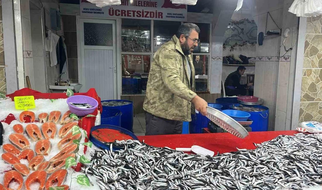 Tavşanlıda balık pazarına hamsi ilgisi arttı Kütahyanın Tavşanlı ilçesindeki Balık Pazarı, zengin balık çeşitleri ve taze