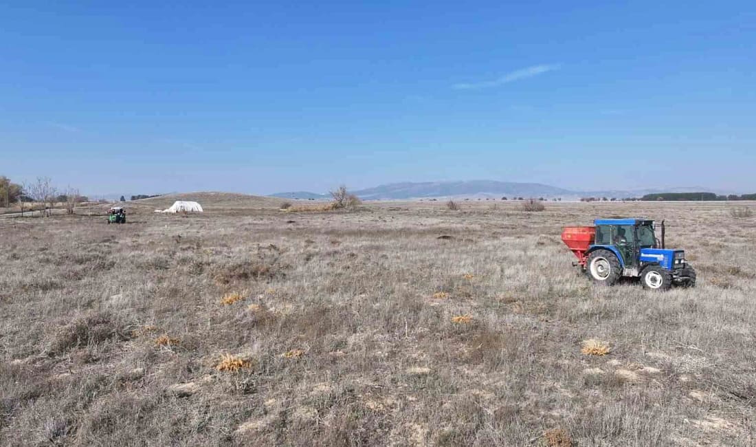 Denizli’de meralara gübre dağıtımıyla ıslah çalışmaları hız kazandı Denizli İl Tarım ve Orman Müdürlüğü, hayvancılıkta yem maliyetlerini düşürmek
