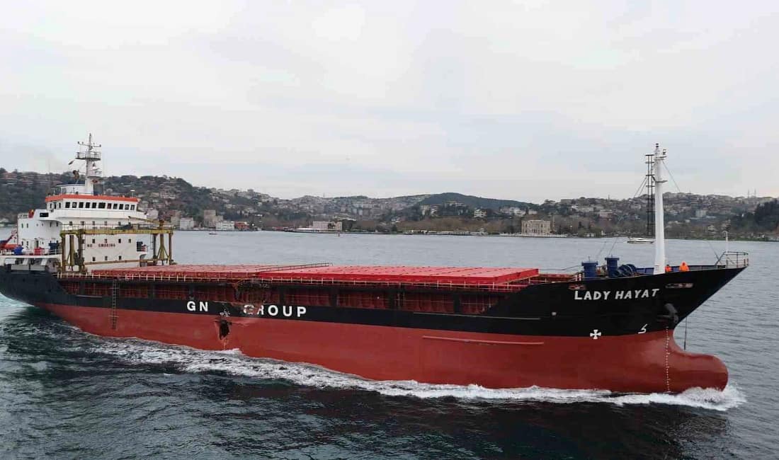 Çarpışan Lady Hayat gemisi İstanbul Boğazı’ndan Tuzla’ya getirildi Romanya’nın Sulina Kanalı’nda başka bir gemiyle çarpışarak hasar alan Palau