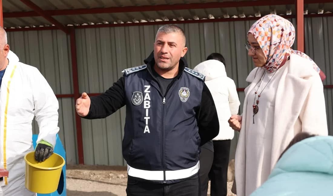 Bünyanlı öğrenciler sokak hayvanları yaşam alanını ziyaret etti Bünyan Anadolu Lisesi öğrencileri sokak hayvanları doğal yaşam alanını ziyaret