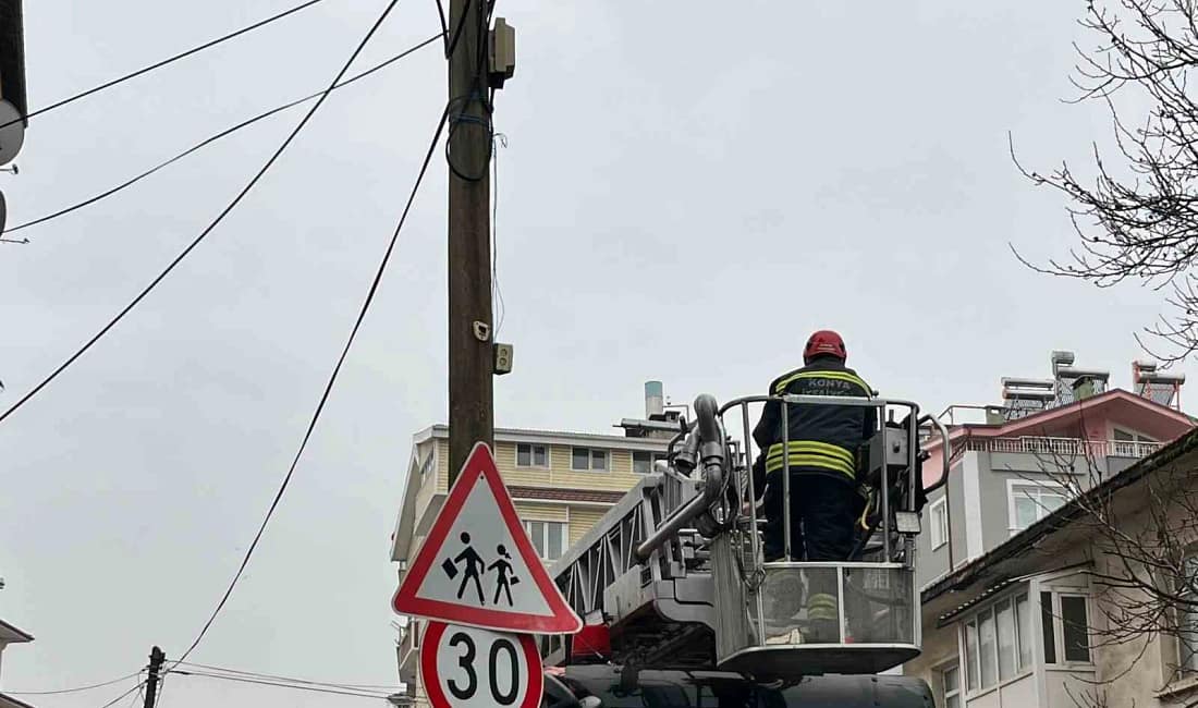 Beyşehir’de direkte mahsur kalan kedi kurtarıldı Konya’nın Beyşehir ilçesinde telefon direğinin tepesinde mahsur kalan kedi, itfaiye