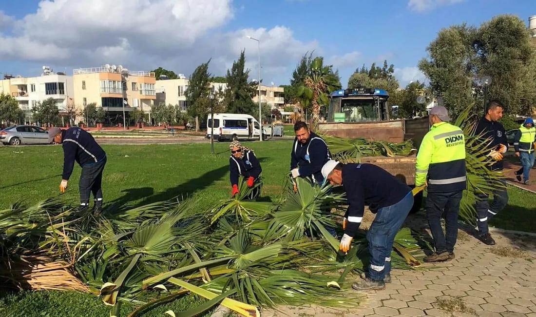 Didim’de park ve yeşil alanlarda bakım çalışmaları sürüyor Didim Belediyesi, ilçe genelindeki park ve yeşil alanlarda bakım, onarım