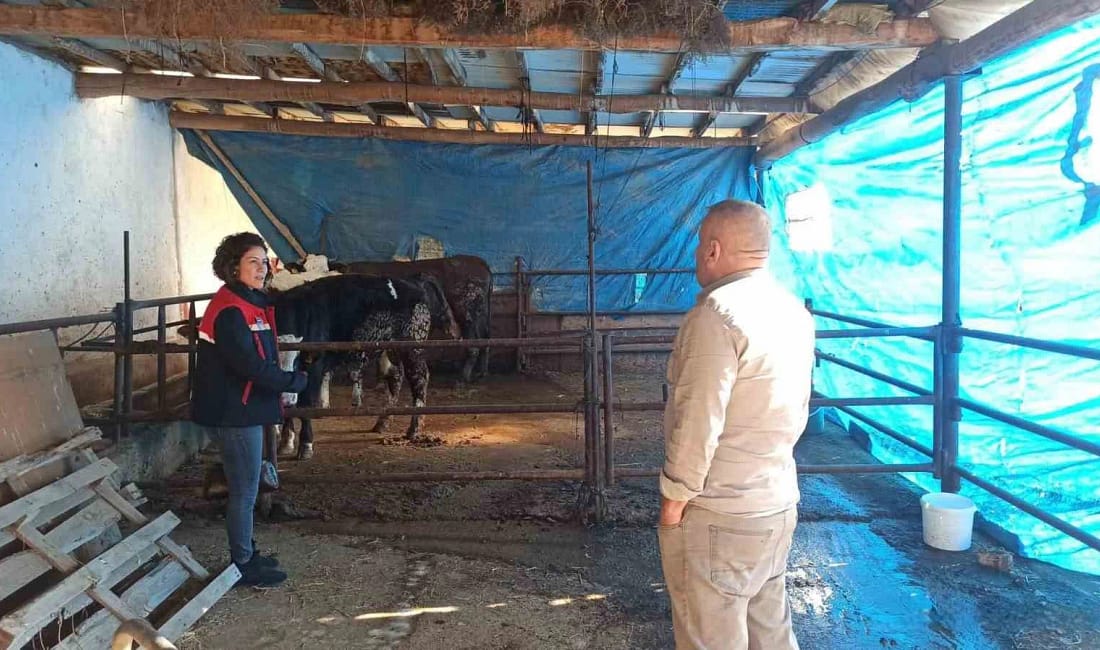 Afyonkarahisar’da besicilik işletmeleri ÇMVA kapsamında incelendi Afyonkarahisar’da besicilik yapan tarımsal işletmelere yönelik Çiftlik Muhasebe Veri Ağı