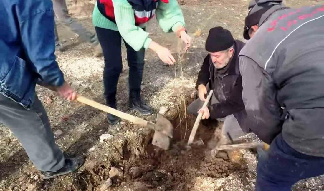 Kütahya’da Tuz Çalısı projesi uygulamaya alındı Kütahya’da hayvancılıkta alternatif yem kaynağı oluşturmak amacıyla Tuz Çalısı Projesi