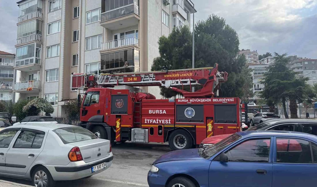 Karga kurtarılırken arkadaşları adeta kuşatma yaptı, saldırgan davranışlar sergiledi Bursa’nın Mudanya ilçesi Ömerbey Mahallesi Muhtarlığı önünde bir ağaca takılan