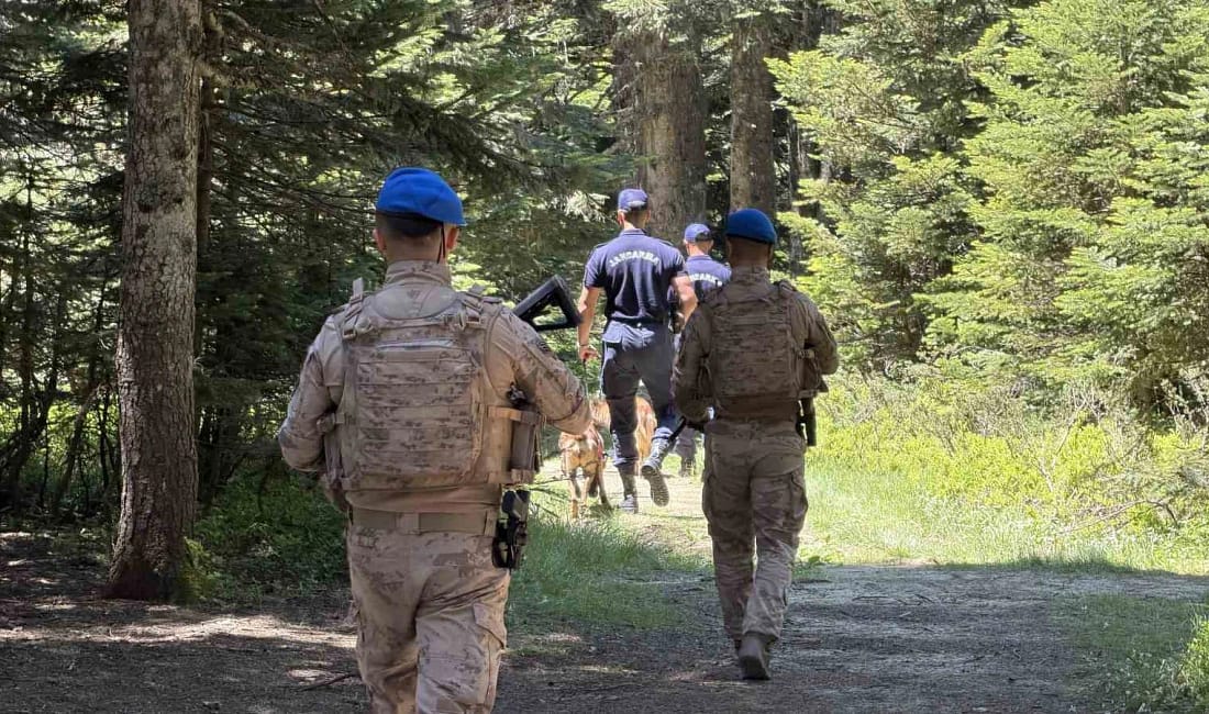 Uludağ’ın zümrüt yeşili ormanları Jandarma’ya emanet Bursa’da geçtiğimiz yıl Gürsu-Kestel ve Harmancık-Orhaneli yangınlarıyla herkesin ciğerleri yanarken,