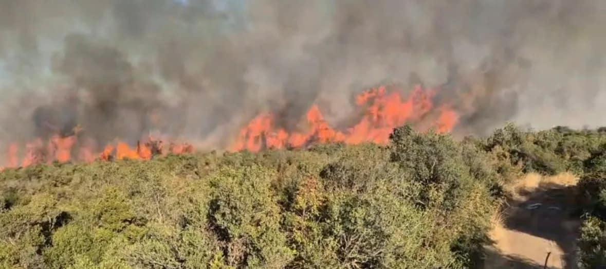 Balıkesir'in Susurluk ilçesinde ormanlık alanda yangın çıktığı bildirildi. Ekipler, yangını