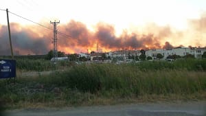 Edirne’de tarlada çıkan yangın ormanlık alana doğru ilerliyor Edirne’nin Enez ilçesi Büyükevren köyü yakınlarındaki tarlada çıkan yangın, rüzgarın