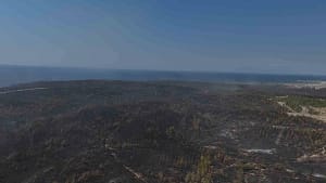 Yanan ormanın görüntüsü yürekleri dağladı Edirne’de 16 saat sonra kontrol altına alınan orman yangınının havadan