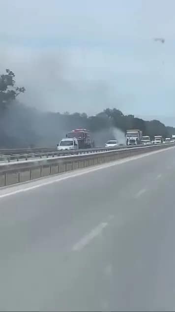 İzmir-Bursa kara yolunda alevler korkuttu Bursa’nın Karacabey ilçesinde bulunan İzmir-Bursa kara yolu üzeri TİGEM bölgesindeki
