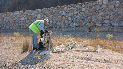Bursa’da çıkan orman yangınlarına 196 araç ve 589 personelle müdahale