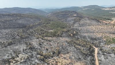 Harmancık’taki yangını yerinde takip eden Bursa Büyükşehir Belediye Başkanı Mustafa