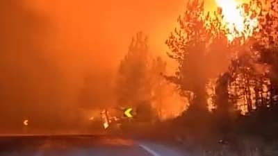 Bursa’da 4 gündür süren orman yangını Çakmak köyü çevresinde tehlikeli