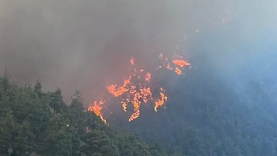 Bursa Valiliği, orman yangınlarına dair gelen ihbarlar üzerine Cumhuriyet Başsavcılığı'nın