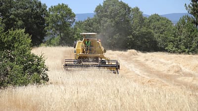 Bursa Büyükşehir Belediyesi tarafından dağ ilçelerinin kalkınması ve nitelikli tarım