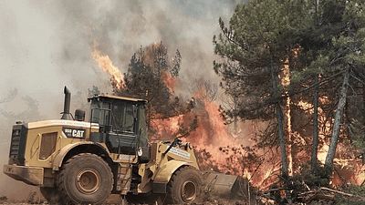 Bursa’nın Gürsu, Kestel, Orhaneli ve Harmancık ilçelerinde meydana gelen orman