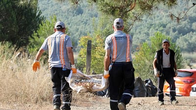 Mudanya, çevre bölgelerde artan orman yangınları nedeniyle alarma geçti. Yangın