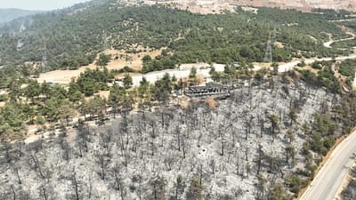 Gürsu Belediye Başkanı Mustafa Işık, ilçede yaşanan orman yangınının ardından