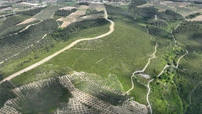 Bursa Orman Bölge Müdürlüğü, Gürsu ve Harmancık’ta yanan orman alanlarında