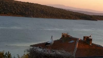 Bursa Karaağaç’ta yaşayan Yaren Leylek, 6.1’lik depremden saniyeler önce sergilediği