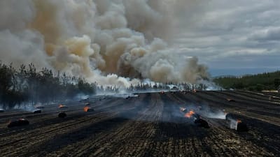 Kavaklı Mahallesi’nde çıkan yangına itfaiye ve orman ekipleri havadan ve