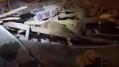 Osmangazi Belediyesi Köpekli Arama Timinde görevli Daisy ve Alfa, Balıkesir