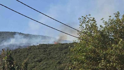 Bursa’nın Orhangazi ilçesi Gedelek Mahallesi’nde çıkan orman yangını ekiplerin hızlı