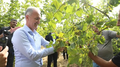 Geçtiğimiz yıl Türkiye’nin fındık üretiminin yüzde 1’ini karşılayan İnegöl’de yeni